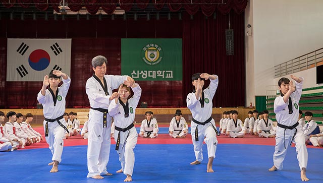 TAEKWONDO GUARD